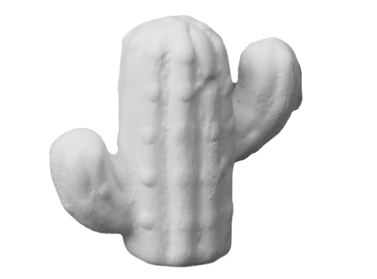 Saguaro Cactus Tot