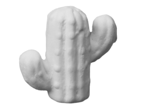 Saguaro Cactus Tot