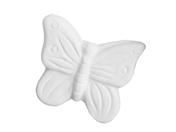 Small Fancy Butterfly