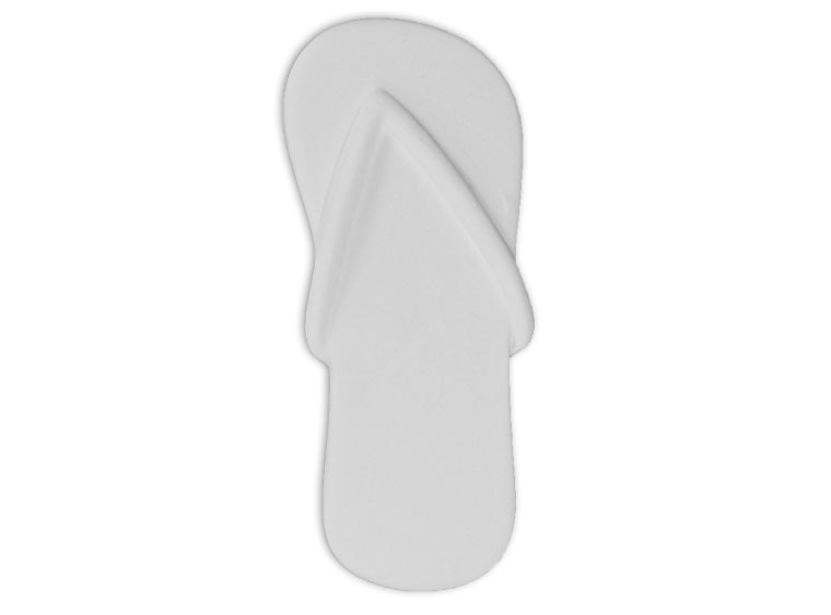 Flip Flops Tag-Along