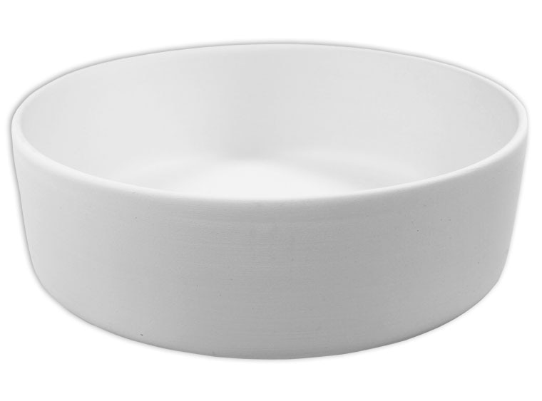 Large Pet Bowl