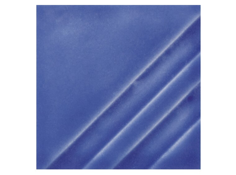 FN213P Saffire Blue 16 ounce